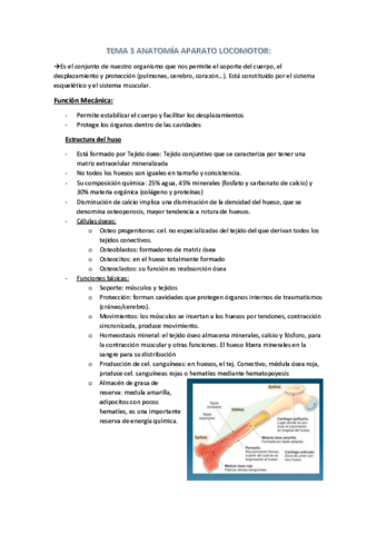 TEMA-3-ANATOMIA-APARATO-LOCOMOTOR.pdf