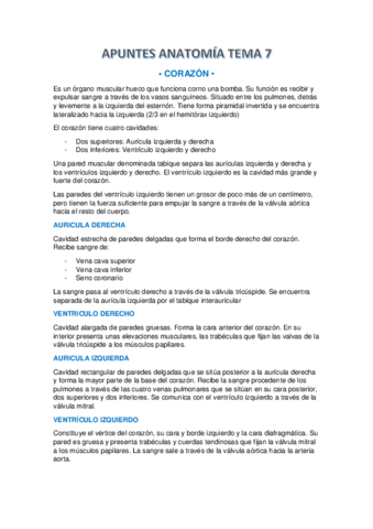 APUNTES-ANATOMIA-TEMA-7.pdf