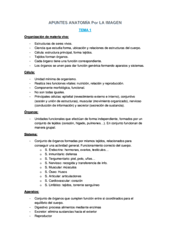 APUNTES-ANATOMIA-TEMA-1.pdf