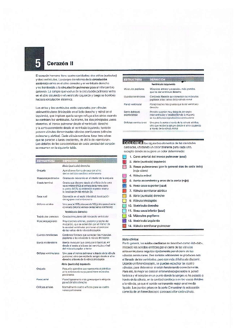 Fichas-de-colorear.pdf