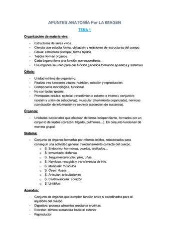 APUNTES-ANATOMIA-TEMA-1.pdf
