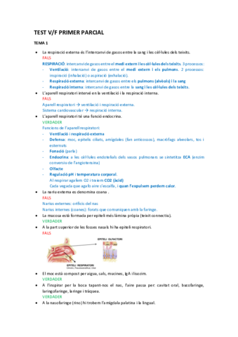 TEST-V.F PRIMER PARCIAL (Amb respostes justificades).pdf