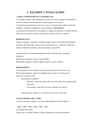 EXAMEN-1-1.pdf
