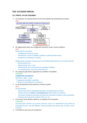 TEST-V.F SEGON PARCIAL (Amb respostes justificades).pdf