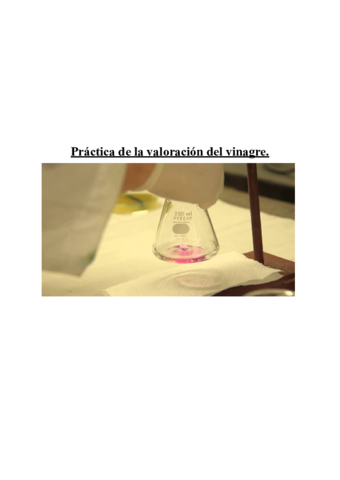 Practica-de-la-valoracion-del-vinagre.pdf