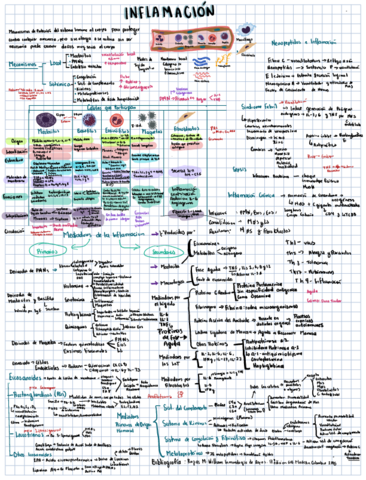 Inflamacion-.pdf