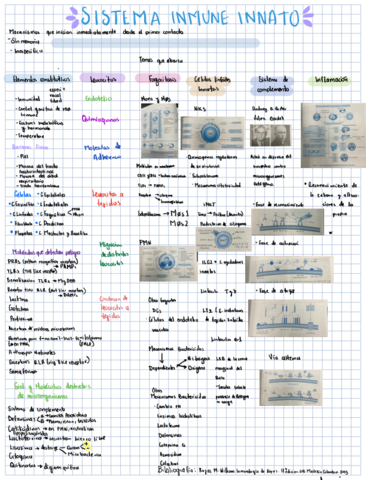 Sistema-inmune-innato.pdf