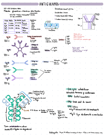 Anticuerpos.pdf