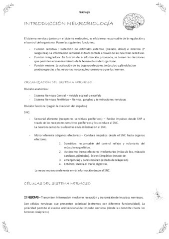 neurobiologia.pdf