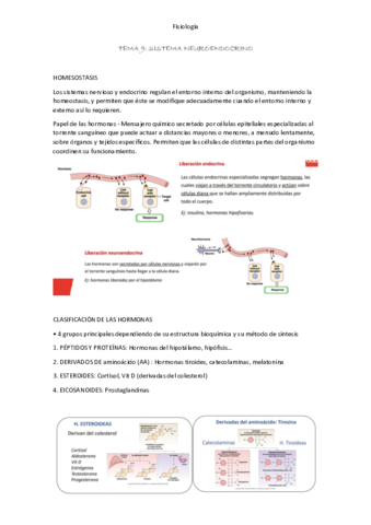 Resumen-tema-9.pdf