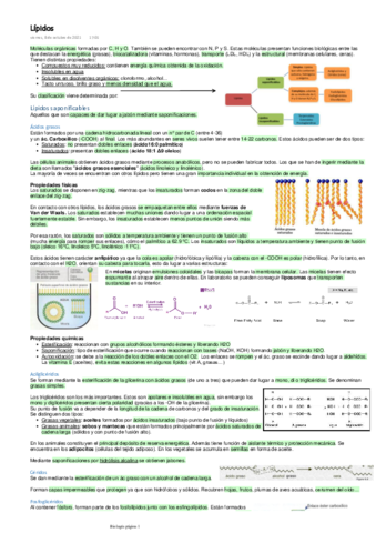 Lipidos.pdf