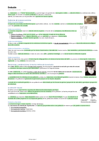 Evolucion.pdf