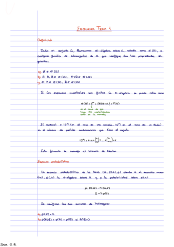 Esquema-Tema-1.pdf
