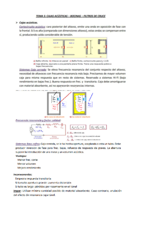 resumen-t5.pdf