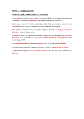 TEMA 7. LA FASE DE LIQUIDACION.pdf