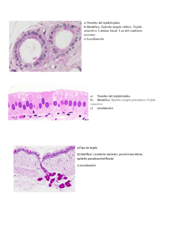Actividades-tejidos-animales-I.pdf