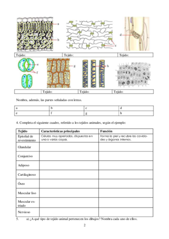 actividades-tejidos-animales-III.pdf