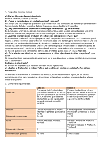ACTIVIDADES-MITOSIS-Y-MEIOSIS.pdf