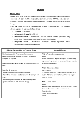 Cas-MPO-Habilitats-Cliniques.pdf