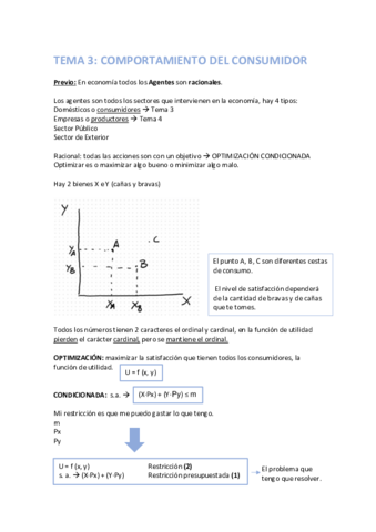 TEMA-3-5-PE.pdf