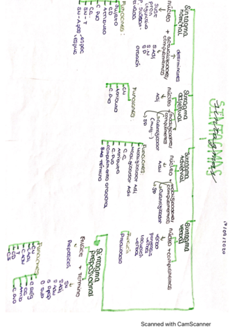 resumen-sintagmas.pdf