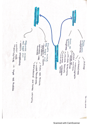 esquema-la-prosa-y-el-teatro-renacentist.pdf