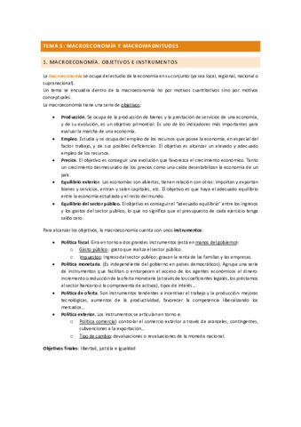 Tema-5-economia.pdf