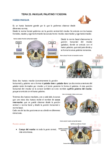 Tema-25.pdf