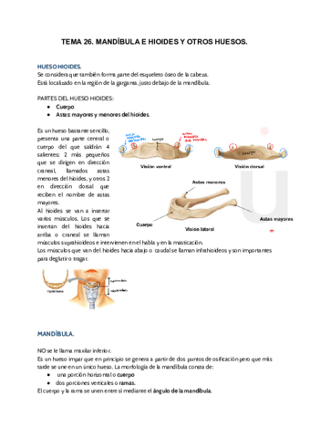 TEMA-26.pdf