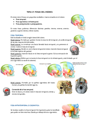 TEMA-27.pdf