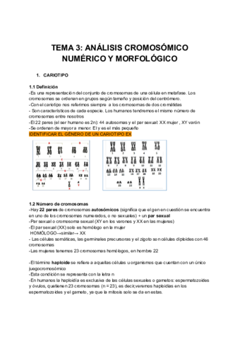 TEMA-3-6-procesos-biologicos-III.pdf