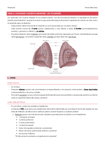 TEMA-4-Cavidades-pleuropulmonares.pdf