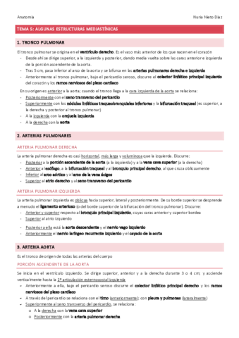 TEMA-5-Algunas-estructuras-mediastinicas.pdf
