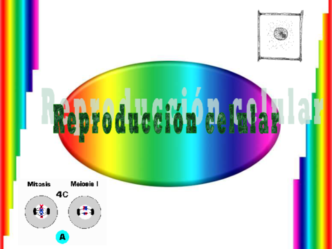 mitosismeiosis4eso.pdf