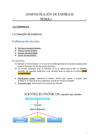 APUNTES-ADE-Documentos-de-Google.pdf