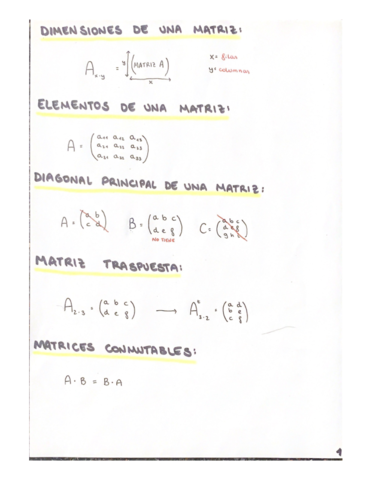T9-MATRICES.pdf
