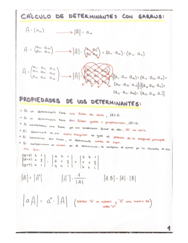T10-DETERMINANTES.pdf