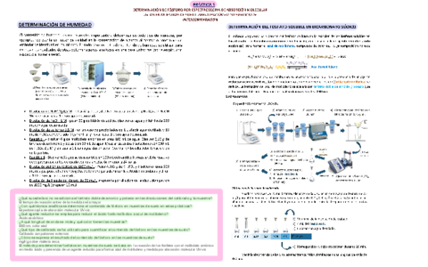 Resumen Practicas del Laboratorio
