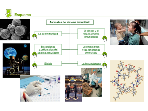 Anomalias-del-sistema-inmunitario.pdf