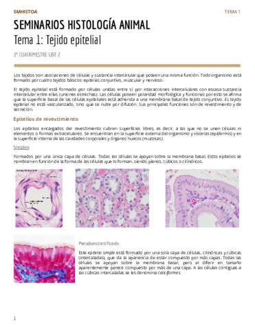 HISTOATema-1-Tejido-epitelial.pdf