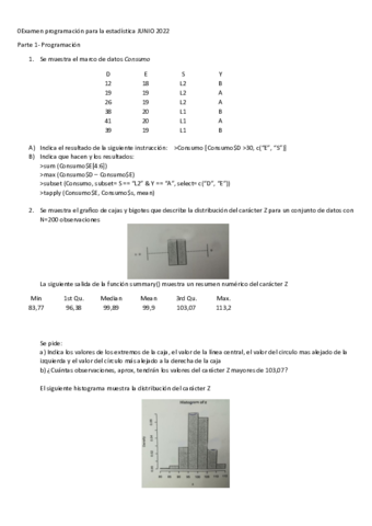Examen-programacion-para-la-estadistica-JUNIO-2022.pdf