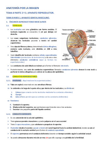 APLI-TEMA-8-PARTE-2-Y-3.pdf