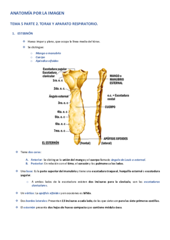 APLI-TEMA-5-PARTE-2.pdf