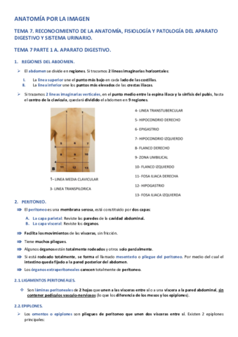 APLI-TEMA-7-PARTE-1-A.pdf