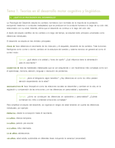 Tema 1  Ángela conejero