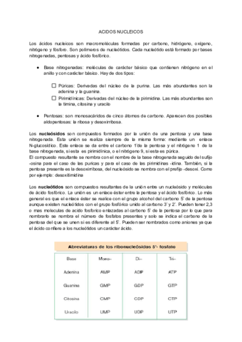 ACIDOS-NUCLEICOS-RESUMEN.pdf