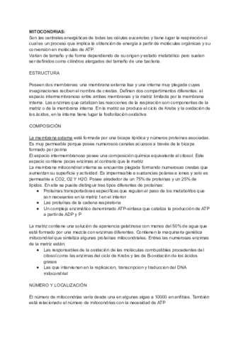 TEMA-10-ORGANULOS-ENERGETICOS.pdf