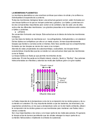 TEMA-7-BIOLOGIA.pdf