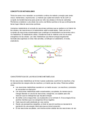 TEMA-12.pdf