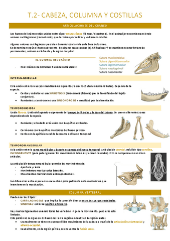Cabeza, columna y costillas.pdf